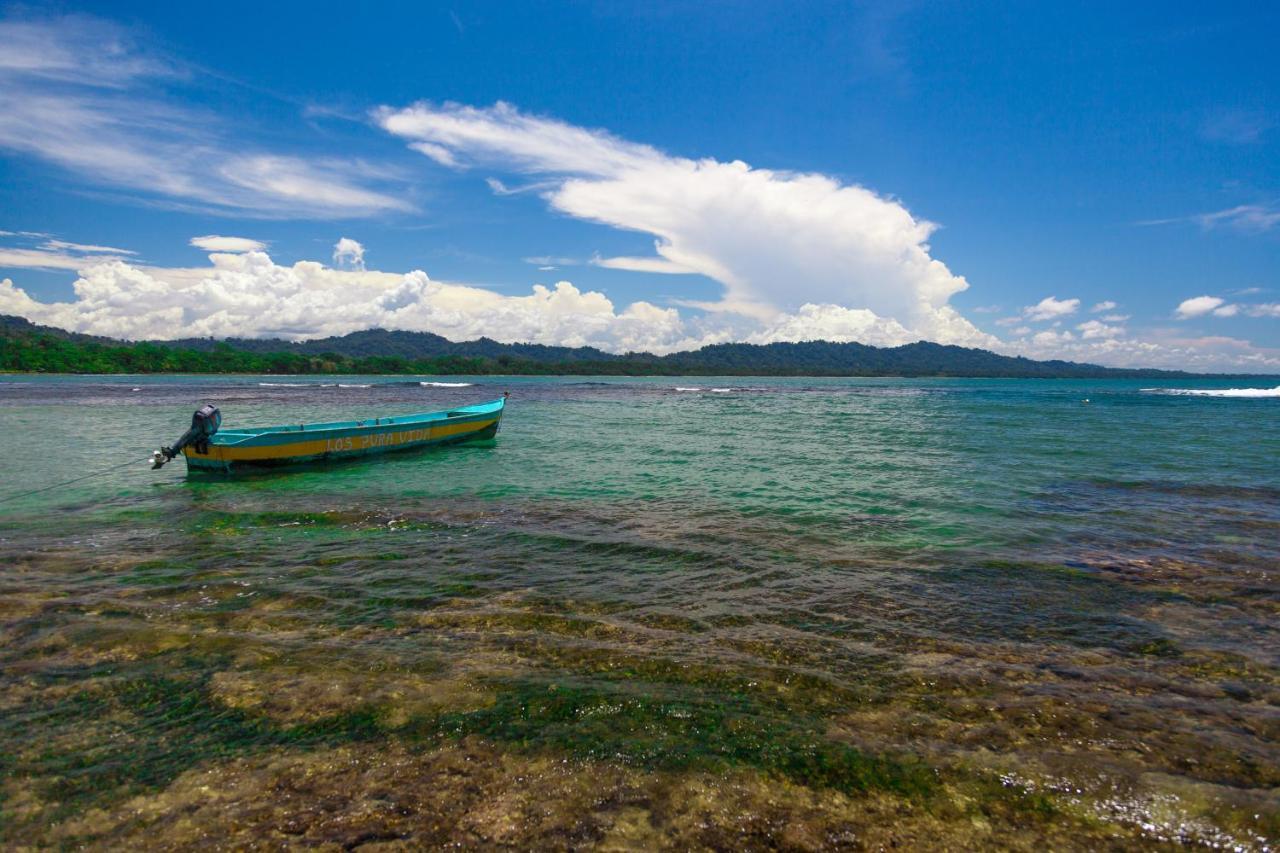 Gigi Brown Villa Paparazzi Beachfront Puerto Viejo de Talamanca Ngoại thất bức ảnh
