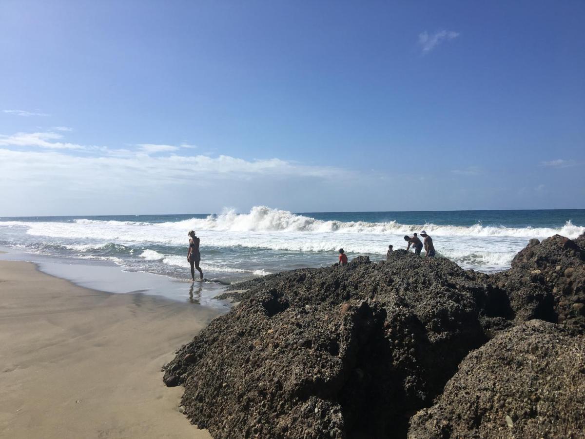 Gigi Brown Villa Paparazzi Beachfront Puerto Viejo de Talamanca Ngoại thất bức ảnh