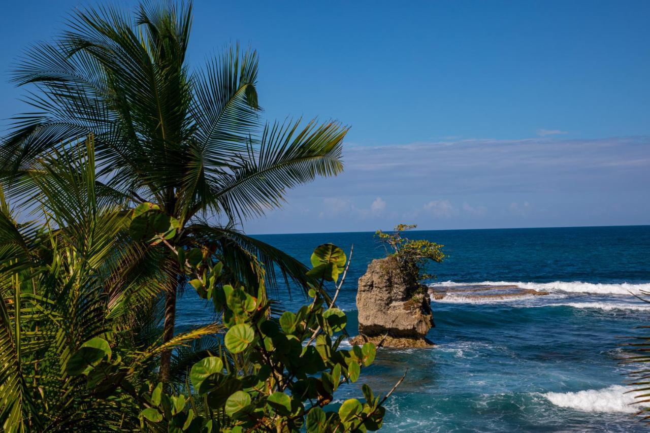 Gigi Brown Villa Paparazzi Beachfront Puerto Viejo de Talamanca Ngoại thất bức ảnh